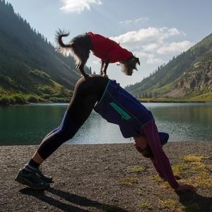 Meet your Posher, Annie